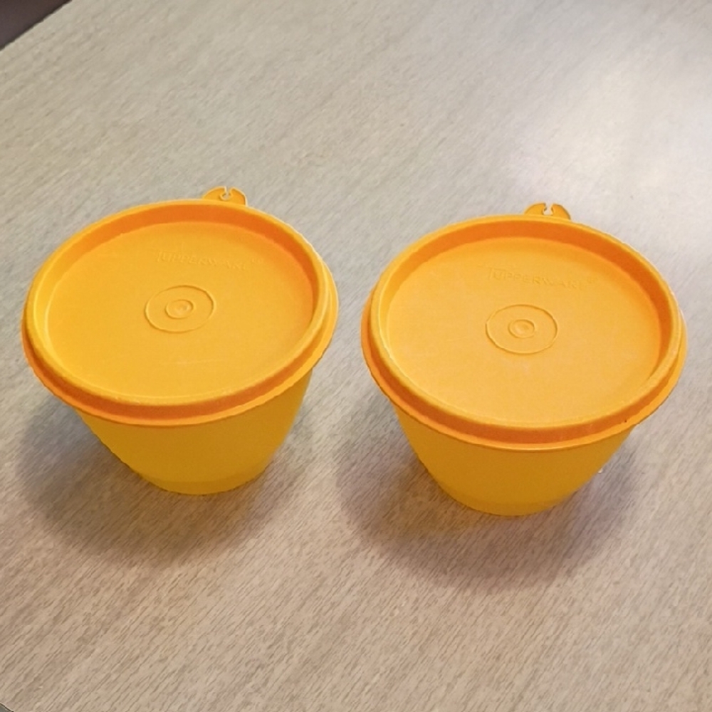 2 Tupperware containers
